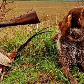 “Ferma l’anticaccia!”: chi ha paura degli animalisti?