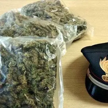 Cerca di fuggire ai controlli dei carabinieri per nascondere la droga, arrestato