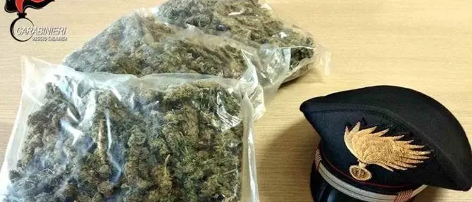 Cerca di fuggire ai controlli dei carabinieri per nascondere la droga, arrestato