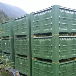 Rinchiusa in un cassone per lo stoccaggio della frutta per 14 giorni: fermato 53enne