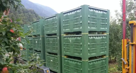 Rinchiusa in un cassone per lo stoccaggio della frutta per 14 giorni: fermato 53enne