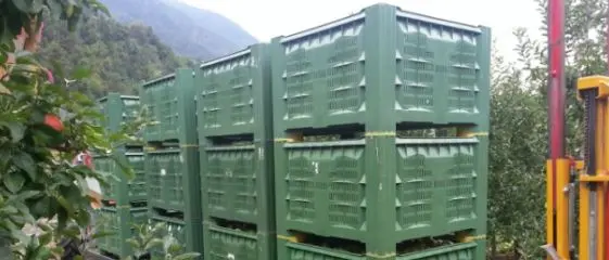 Rinchiusa in un cassone per lo stoccaggio della frutta per 14 giorni: fermato 53enne