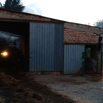 San Gregorio, incendio in un capannone agricolo: due maiali morti