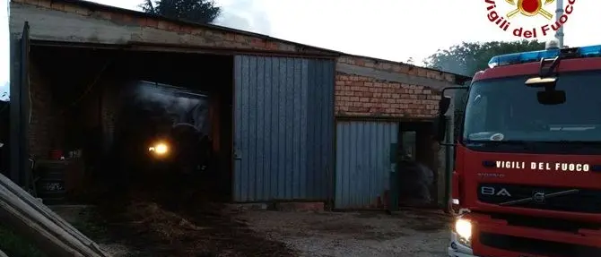 San Gregorio, incendio in un capannone agricolo: due maiali morti