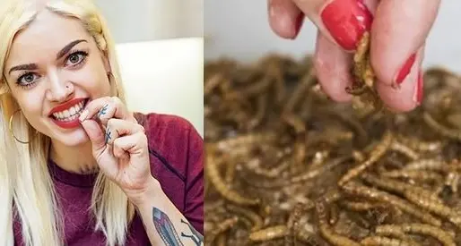 Cavallette a colazione: in cucina con la chef degli insetti