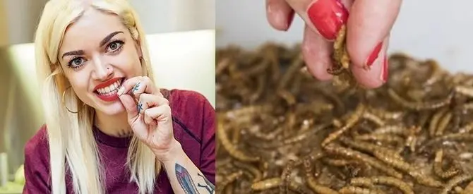 Cavallette a colazione: in cucina con la chef degli insetti