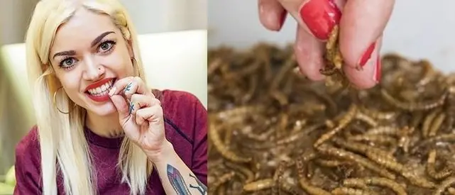 Cavallette a colazione: in cucina con la chef degli insetti