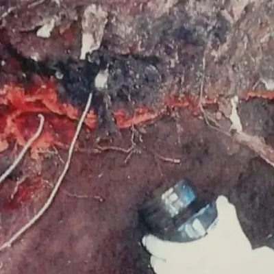 Disastro ambientale dell'area Marlane: la cessione dei terreni una 'beffa' ai cittadini