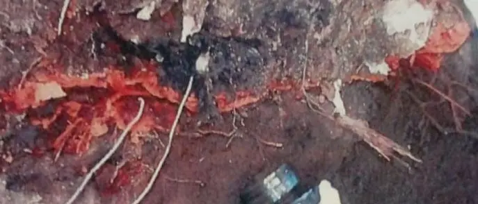 Disastro ambientale dell'area Marlane: la cessione dei terreni una 'beffa' ai cittadini