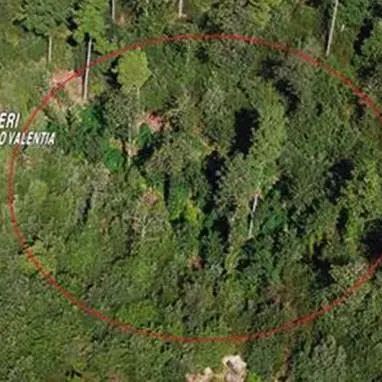 Nardodipace, mille piante di marijuana in un territorio impervio