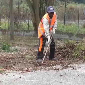 Lamezia, il verde pubblico affidato alla Malgrado Tutto
