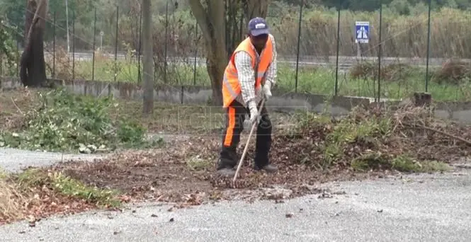 Lamezia, il verde pubblico affidato alla Malgrado Tutto