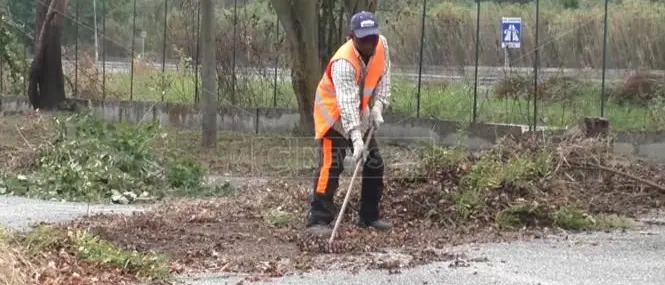 Lamezia, il verde pubblico affidato alla Malgrado Tutto