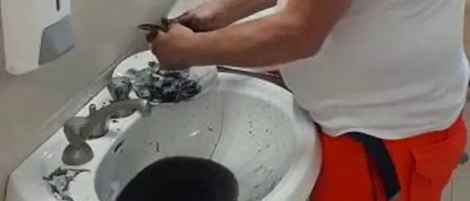 Pulisce del pesce sul posto di lavoro: scoppia il caso all'ospedale di Praia a Mare