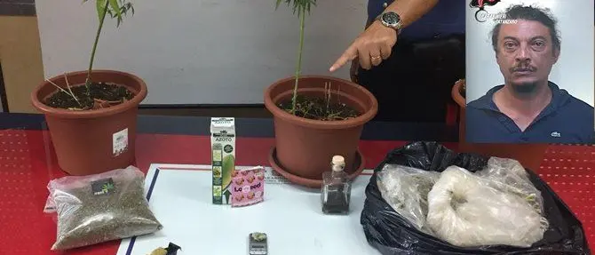 Copanello, coltiva cannabis in casa: arrestato