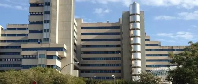 Uccide i figli disabili e tenta di togliersi la vita