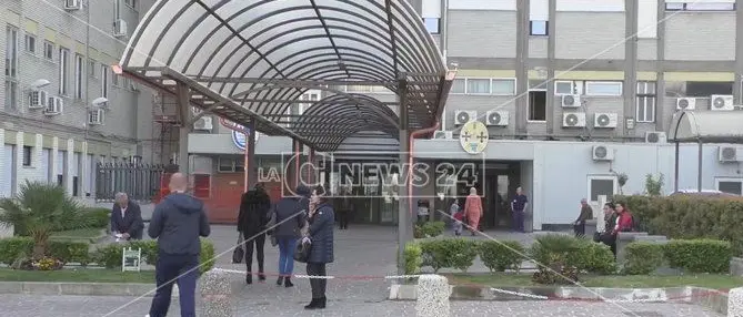 Scarafaggi, topi e formiche in ospedale: «È allarme infezioni al Pugliese di Catanzaro»