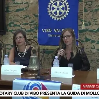 Vibo, il Rotary Club promuove la cultura attraverso la guida archeologica di Mollo