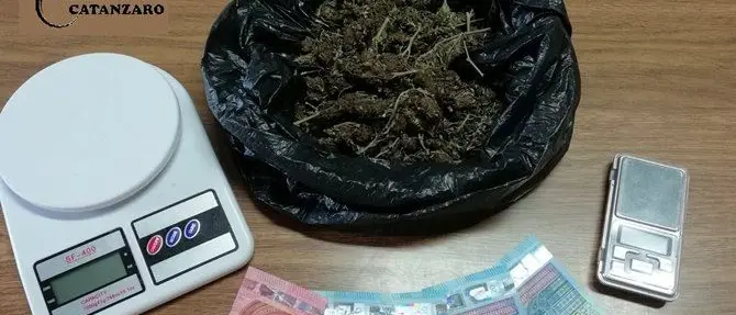 Catanzaro, studente ventenne arrestato per droga