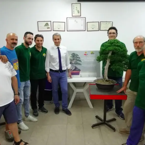 A Catanzaro i segreti dell'antica arte del bonsai