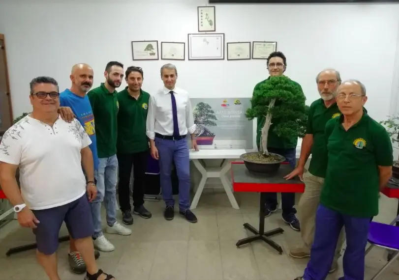 A Catanzaro i segreti dell'antica arte del bonsai