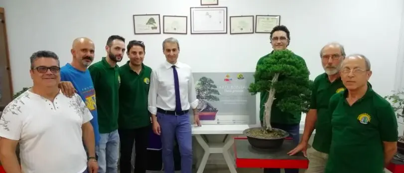 A Catanzaro i segreti dell'antica arte del bonsai