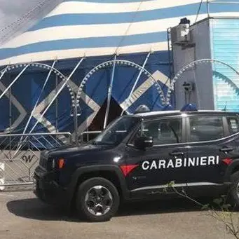 Controlli al circo di Acconia, denunciato il titolare