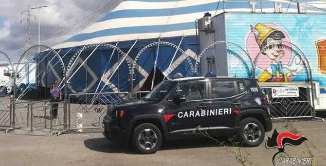 Controlli al circo di Acconia, denunciato il titolare