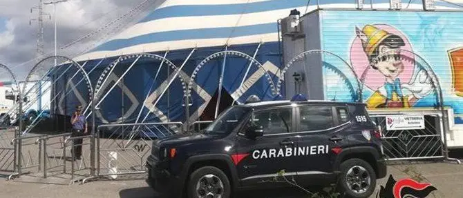 Controlli al circo di Acconia, denunciato il titolare