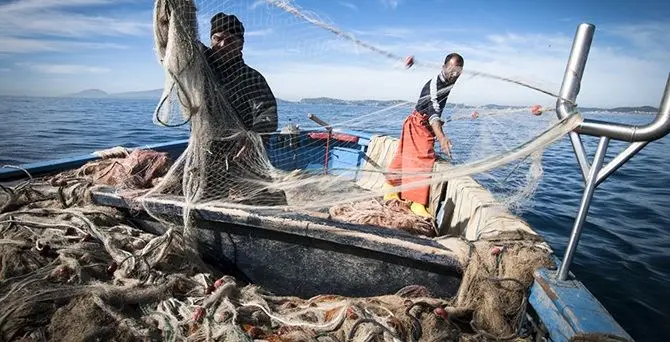 Fermo pesca su Ionio e Tirreno per 30 giorni: stop al pesce fresco in tavola