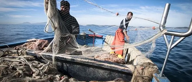 Fermo pesca su Ionio e Tirreno per 30 giorni: stop al pesce fresco in tavola