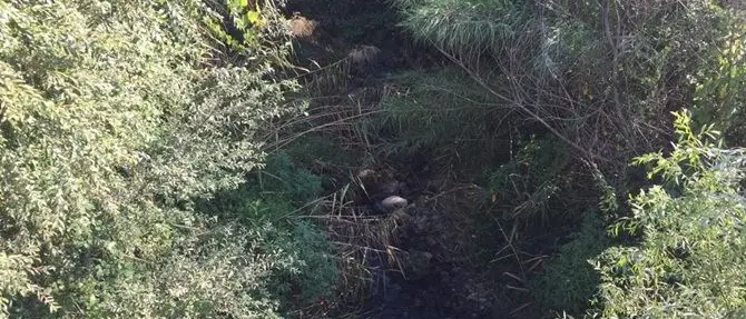 «I fiumi di Rende sono fogne a cielo aperto»