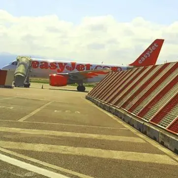 Paura sul volo Lamezia-Malpensa, stormo di uccelli manda il motore in avaria