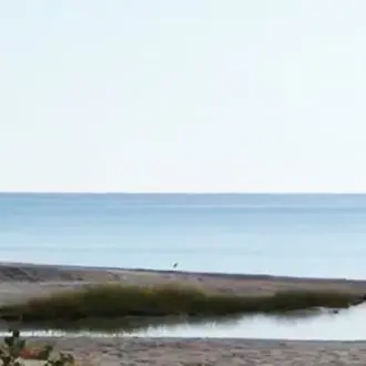 Catanzaro, l'area naturalistica delle dune di Giovino diventerà un parco