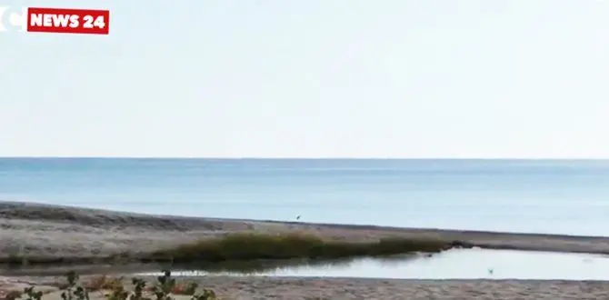 Catanzaro, l'area naturalistica delle dune di Giovino diventerà un parco