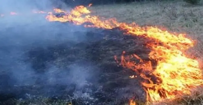 Brucia sterpaglie e rimane avvolto dalle fiamme, muore 77enne a Cutro