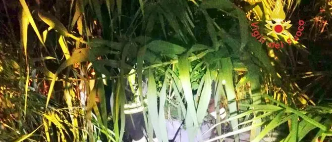 Auto fuori strada finisce in un canale a Pianopoli, ferito 35enne