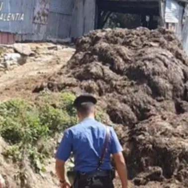 Scaricano illegalmente rifiuti zootecnici, 2 denunce a Limbadi