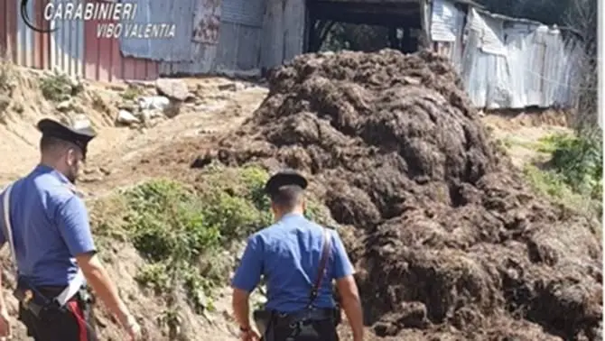 Scaricano illegalmente rifiuti zootecnici, 2 denunce a Limbadi