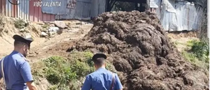 Scaricano illegalmente rifiuti zootecnici, 2 denunce a Limbadi
