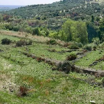 Scoperti ruderi e insediamenti antichi a Squillace