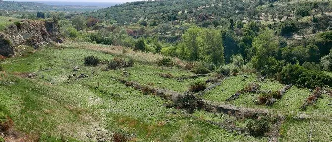 Scoperti ruderi e insediamenti antichi a Squillace