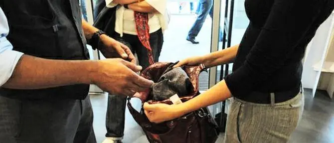 Catanzaro, portano via abiti e cosmetici: denunciate due donne