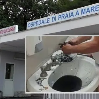 Medico pulisce seppie nel bagno dell'ospedale, l'Asp lo manda via