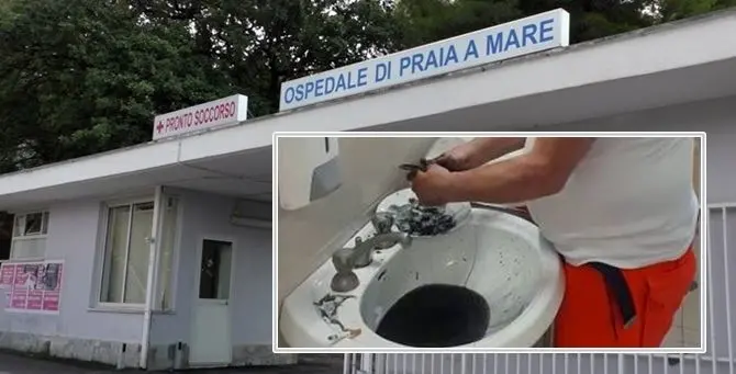 Medico pulisce seppie nel bagno dell'ospedale, l'Asp lo manda via