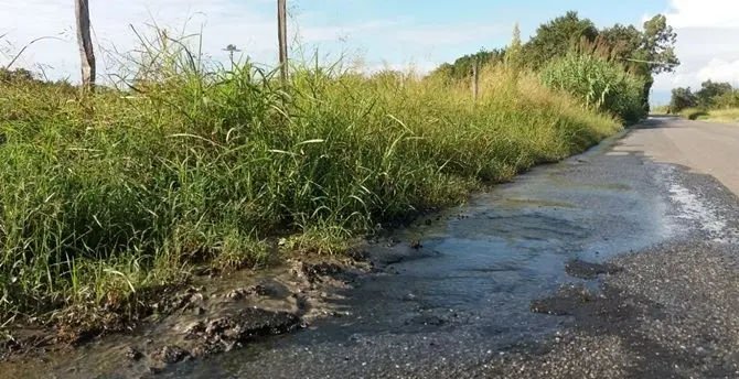 Vibo, l'urlo di un cittadino: «Fiumi di fogna davanti a casa»