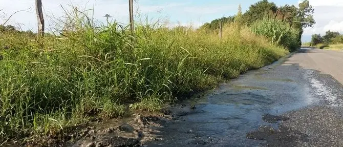 Vibo, l'urlo di un cittadino: «Fiumi di fogna davanti a casa»