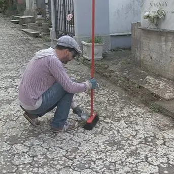 Degrado al cimitero di Vibo, i cittadini si attivano per pulire l'area