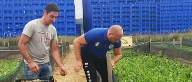 Raccoglie oltre mille lumache in un’ora, è record mondiale