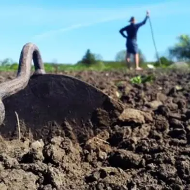 Il perito sbaglia i calcoli e gli confiscano la terra per mafia